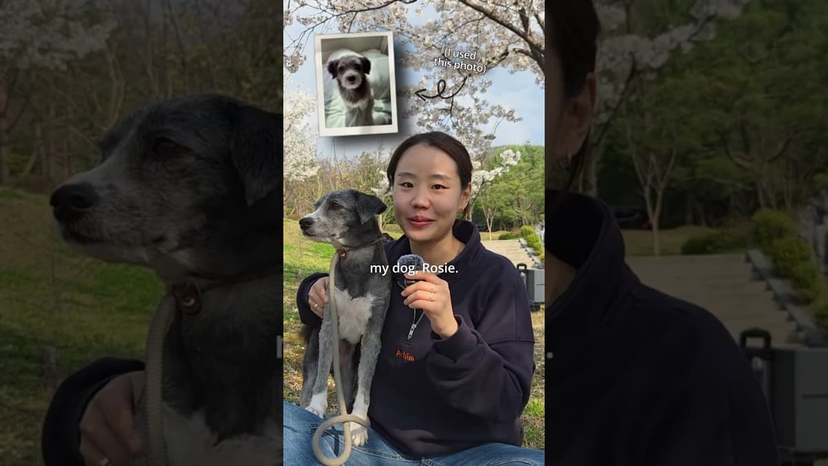 Animal Influencers Trending in Korea