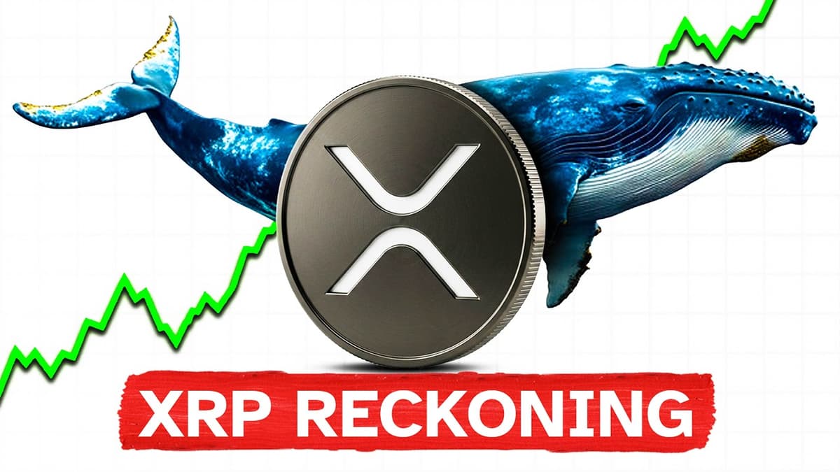Will XRP EVER Recover?