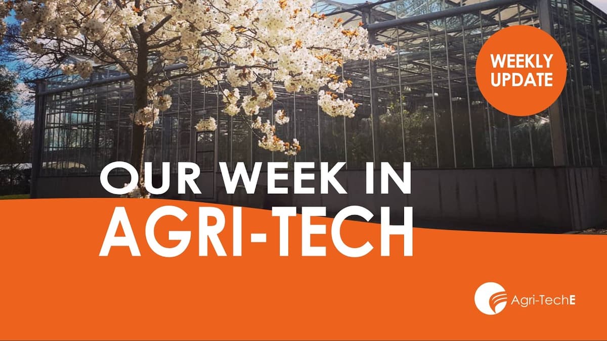 Pond Dipping and Maginifying Life; 10th April 2026