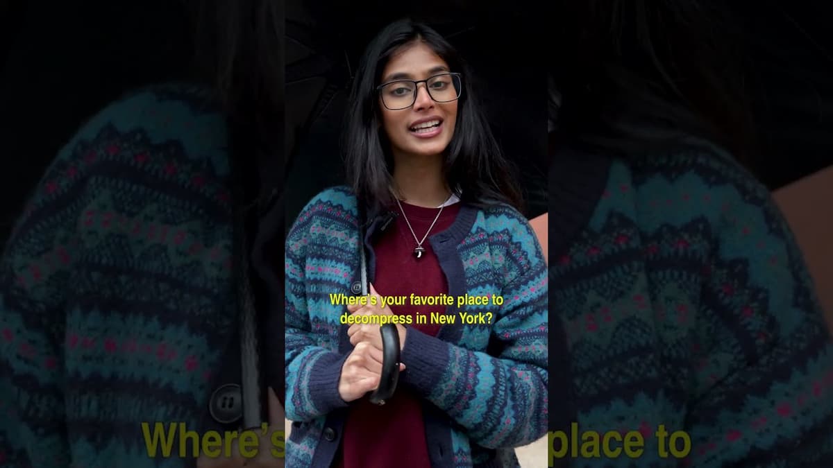 Bhavitha Mandava's Gui-De to New York