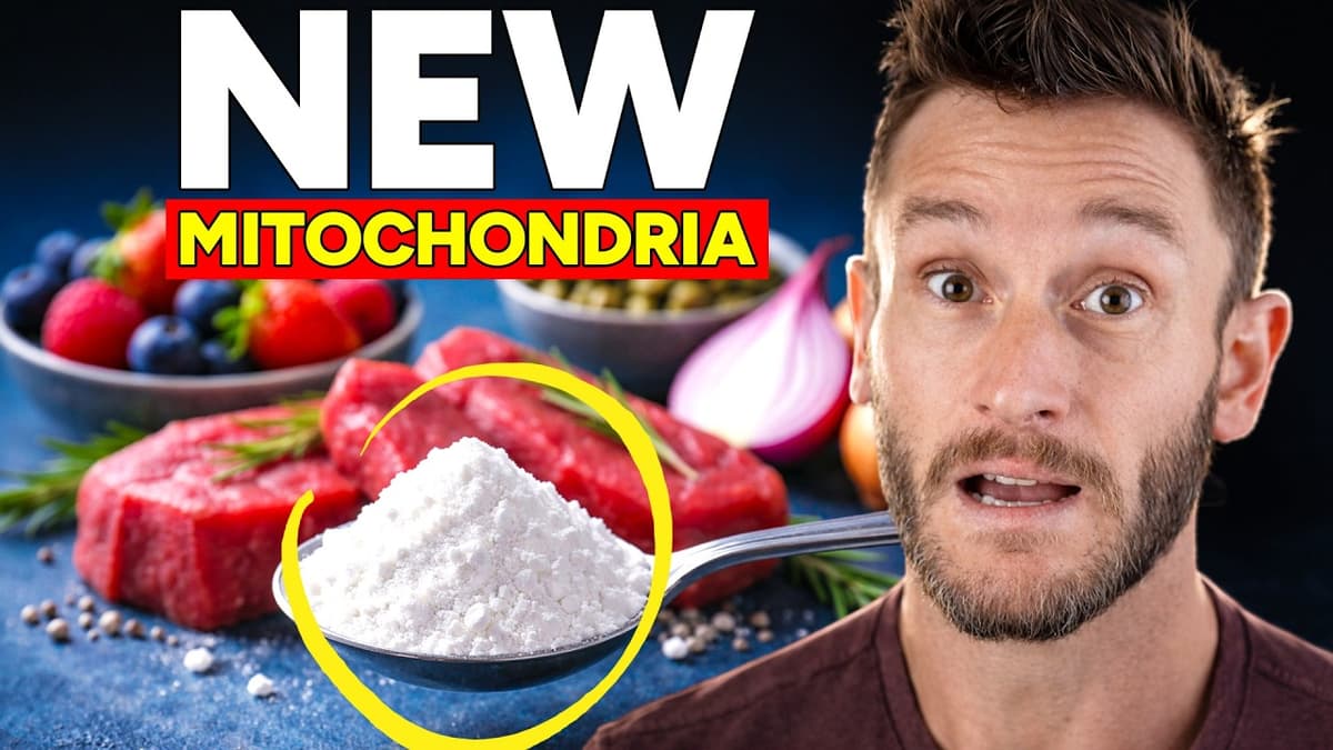 5g Stops Neuroinflammation, Doubles Autophagy and Resets Mitochondria