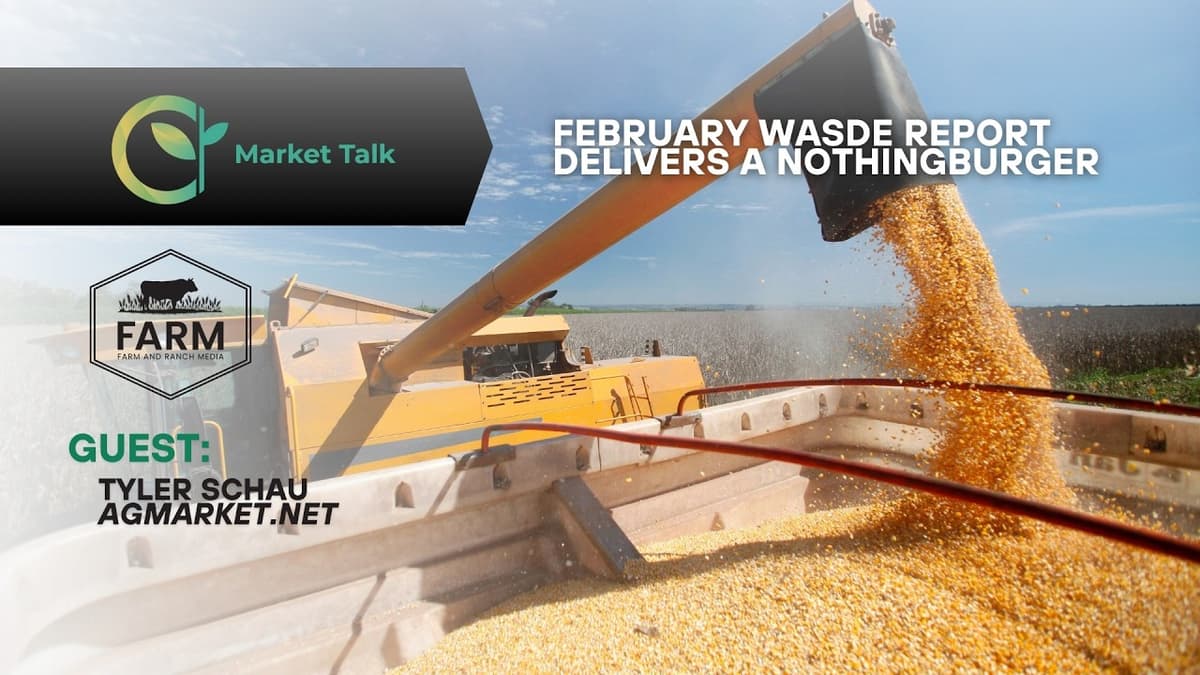 February WASDE Report Delivers a Nothingburger