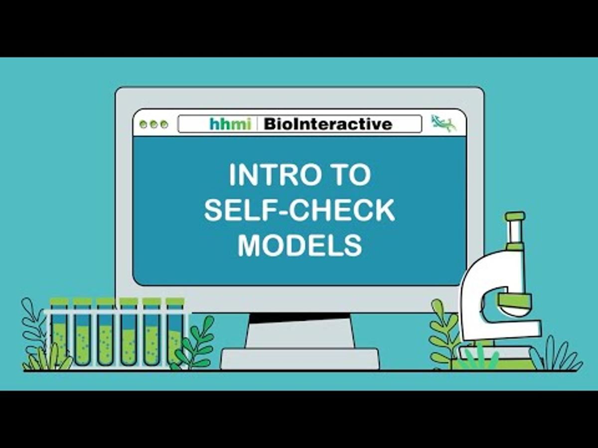 Working with Self-Check Models