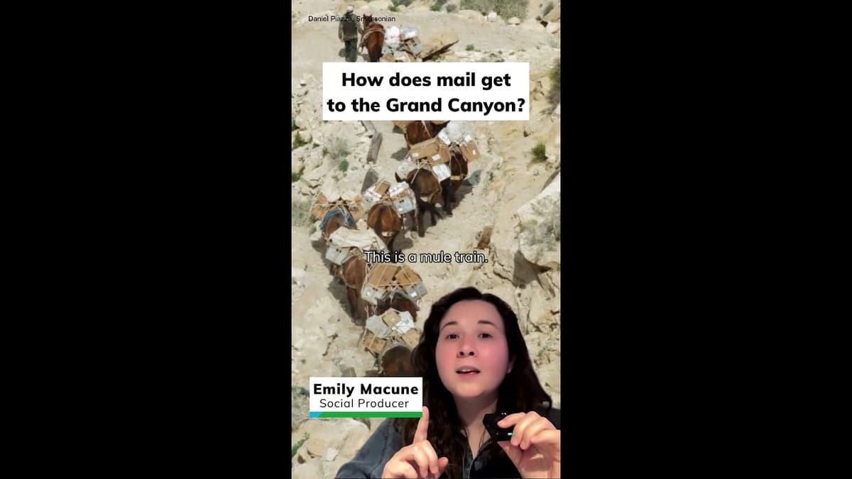 How Does Mail Get to the Grand Canyon? 📬