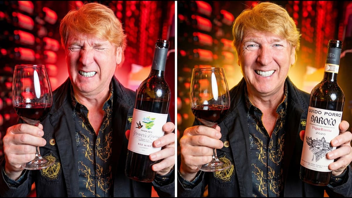 Does More Expensive Wine REALLY Taste Better?