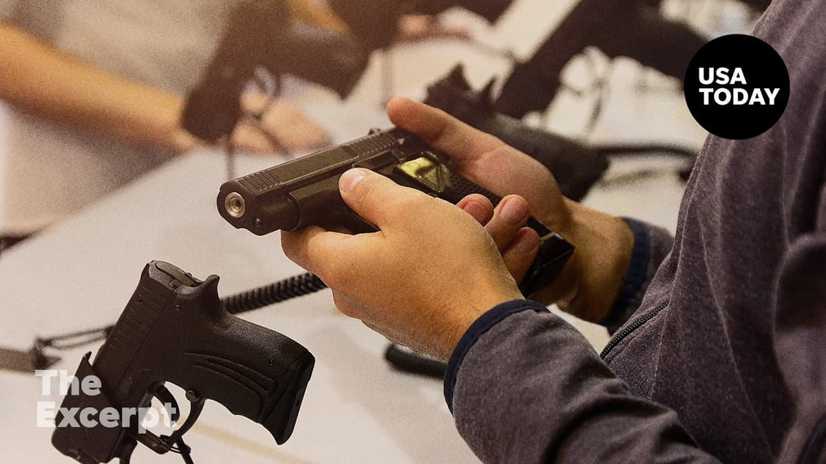 Why the ATF Revoked Fewer Gun Dealer Licenses in 2025 | The Excerpt