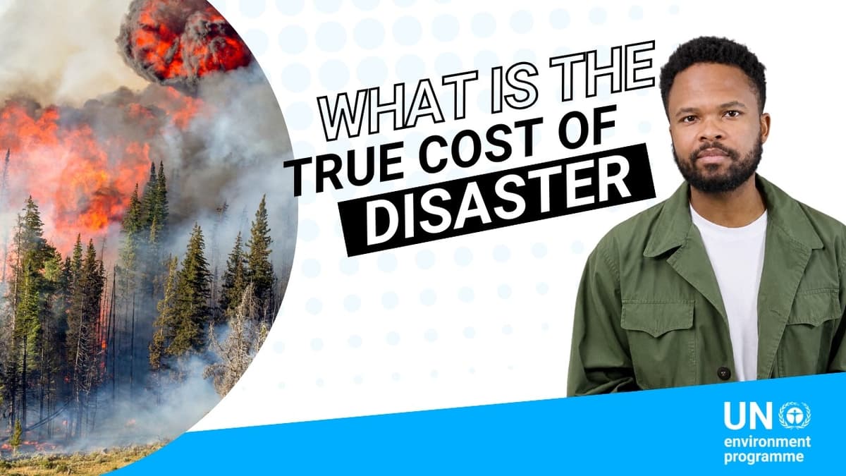 The Hidden Cost of Climate Change: Understanding Non-Economic Loss and Damage