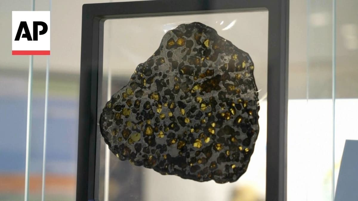 A Meteorite Hunter's Private Collection Goes on Display in Spain