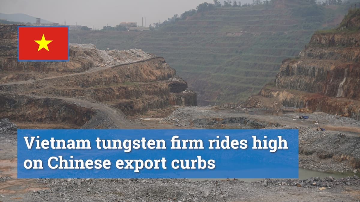Vietnam Tungsten Firm Rides High on Chinese Export Curbs