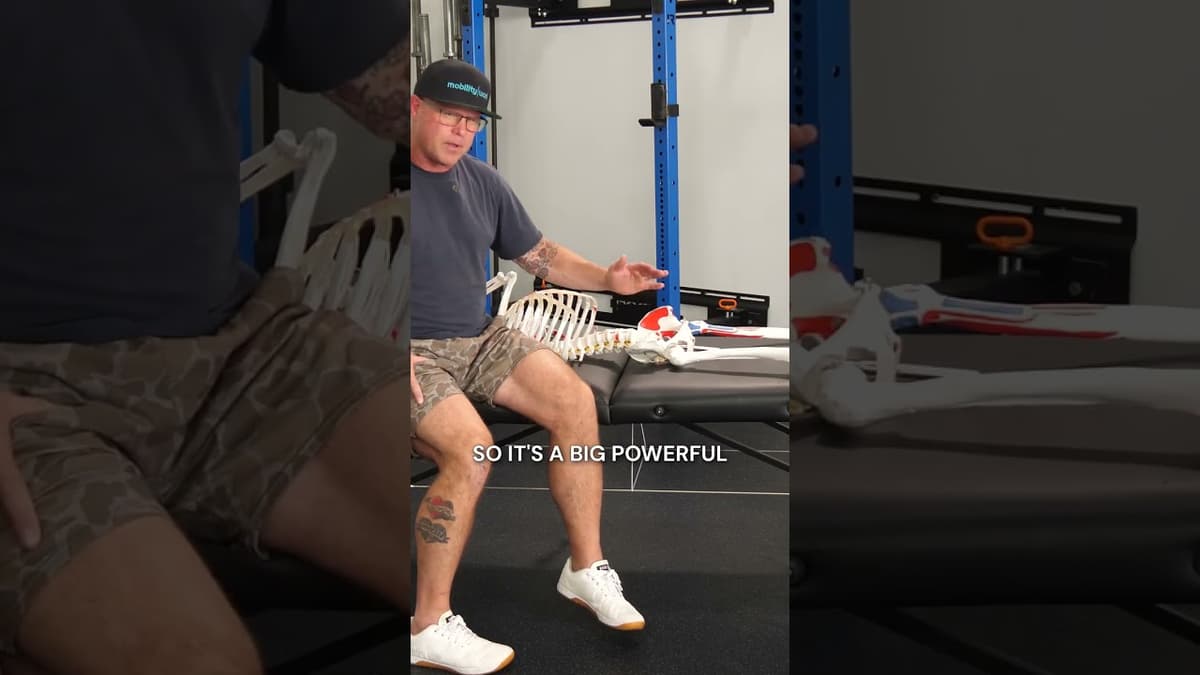 When People Think About Limited Hip Extension, the Quads Are Often the First Culprit to Blame.