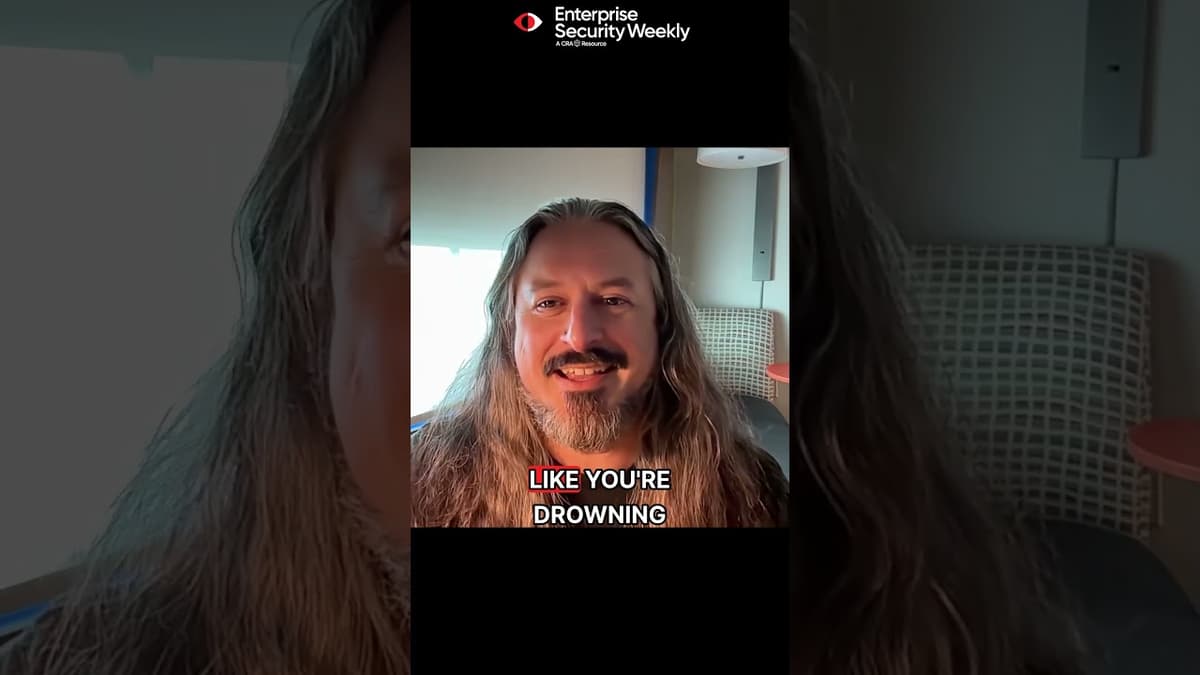 Too Many Vulnerabilities to Fix