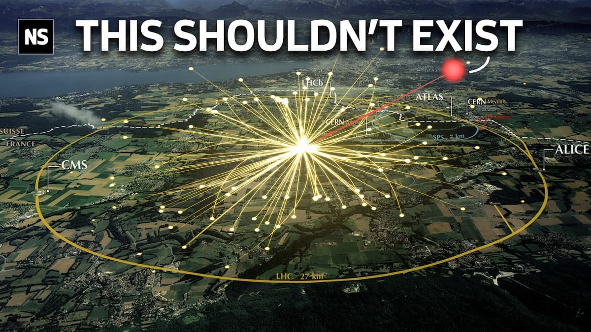 We Are Made of Something That Should Not Exist