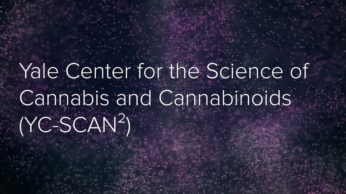Yale Center for the Science of Cannabis and Cannabinoids