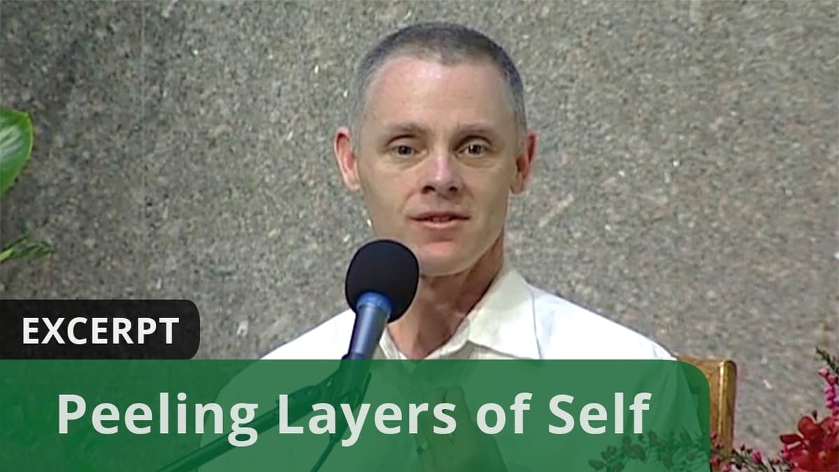 Peeling Layers of Self (Excerpt)