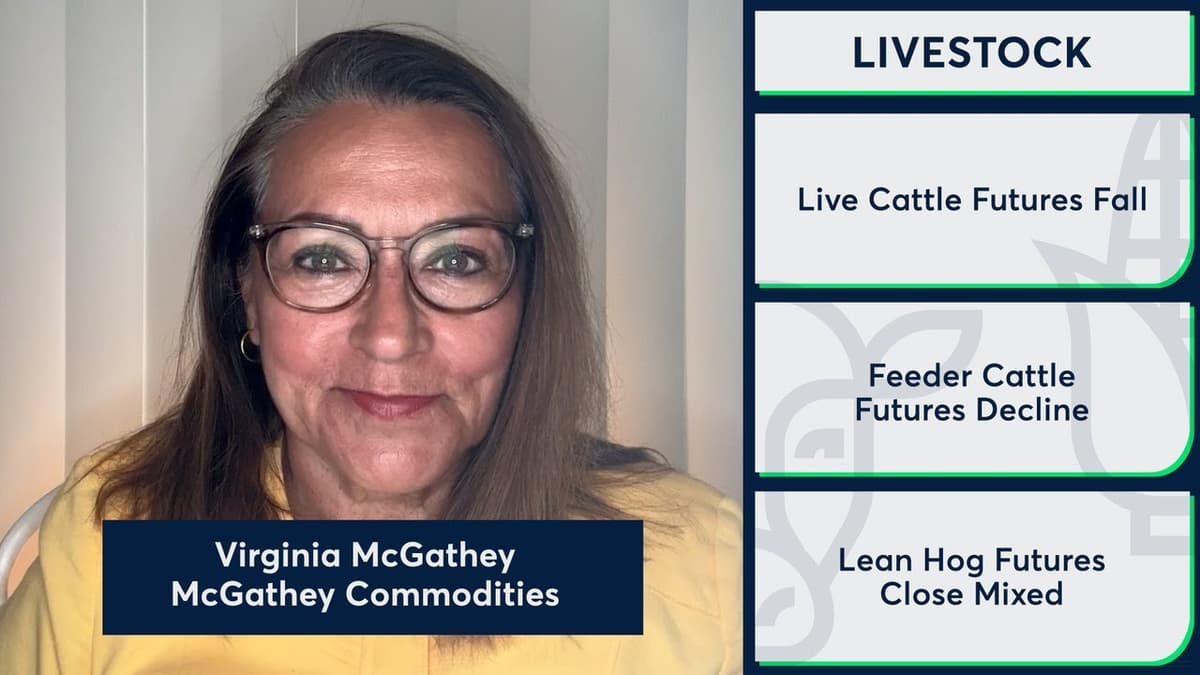Live Cattle Futures Traded Lower. 4/22/26