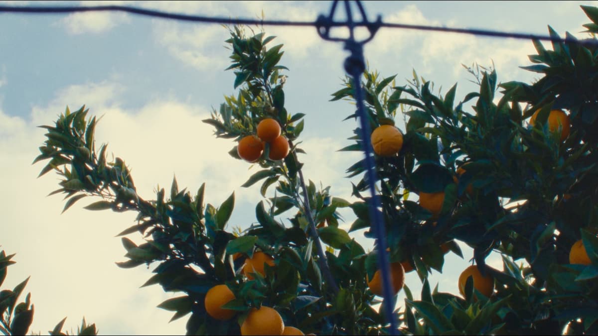 Harvest | A Film by Heechan Lim