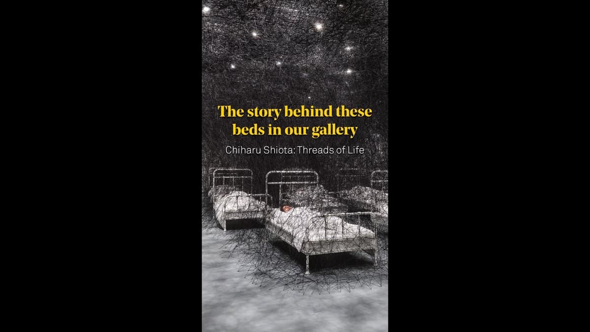 The Story of These Mysterious Beds... #Shorts