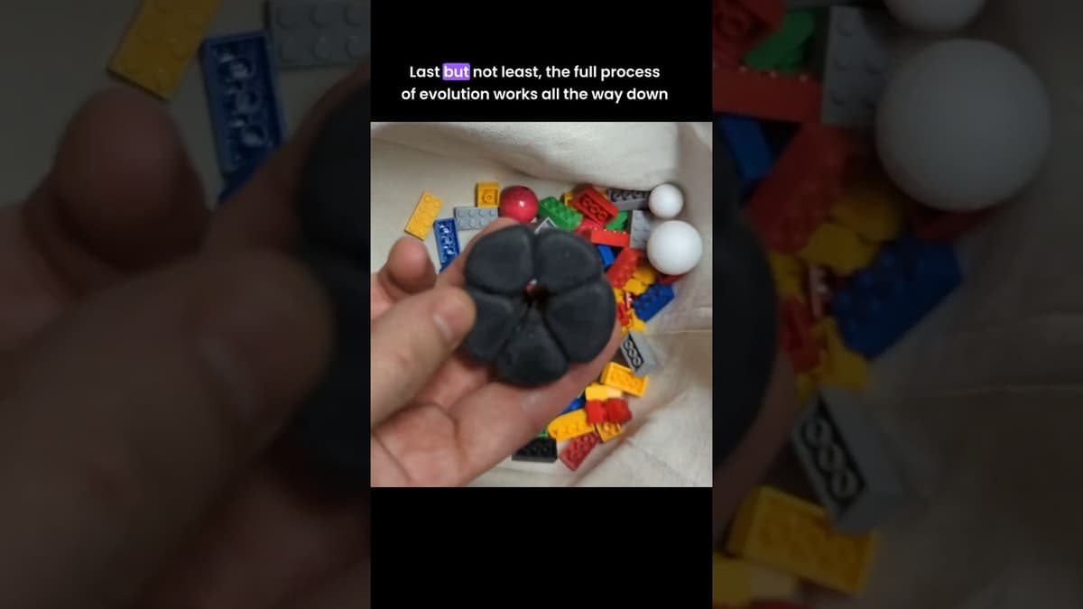 Protein Evolution Stated Clearly