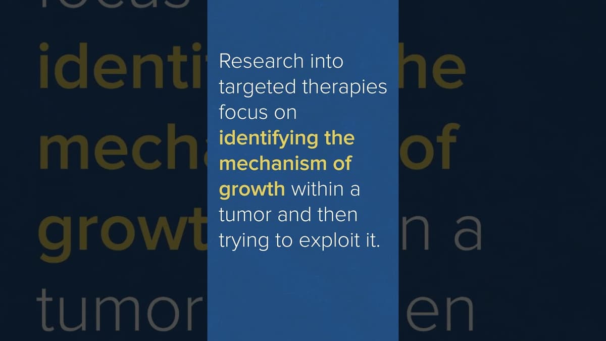 DNA Damage Response - A Basic Explanation