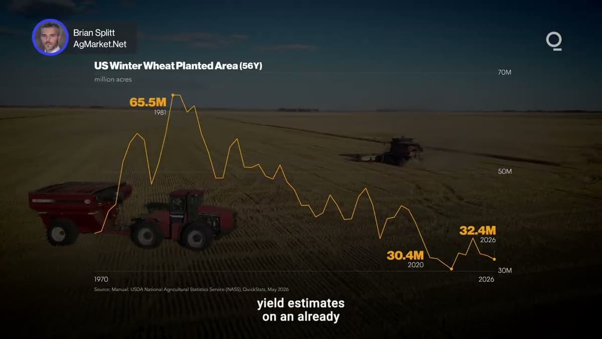 US Grain Markets Brace for Summer Volatility | Presented by CME Group