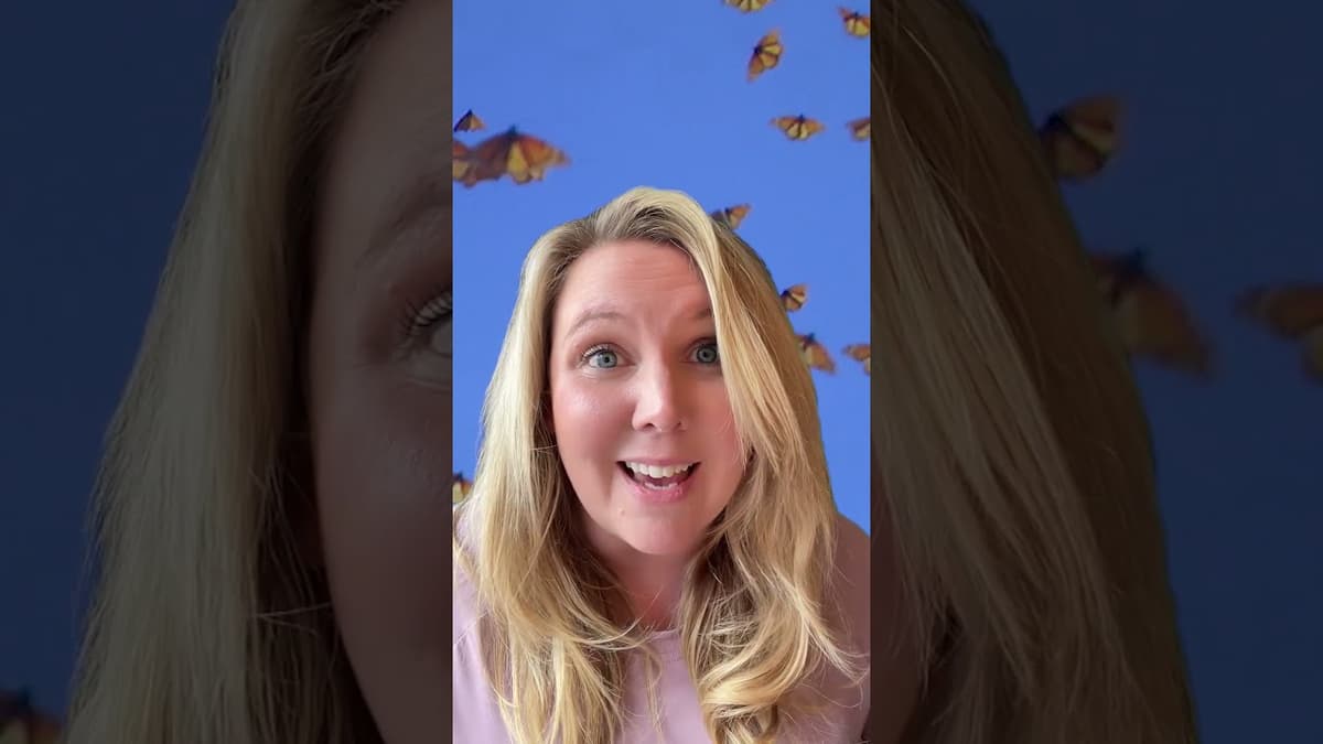 Monarch Butterfly Migrations Are a Spectacle — and a Key Indicator of Ecosystem Health #TEDTalks