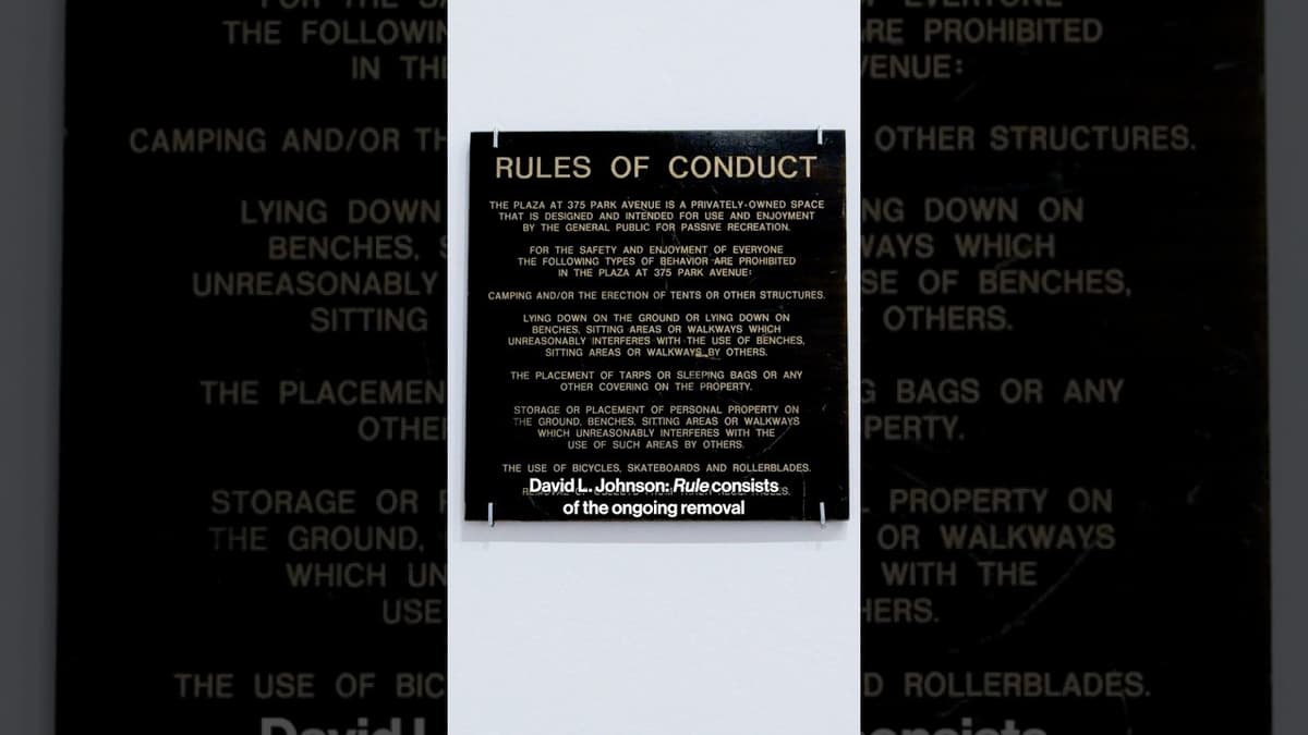 David L. Johnson | Audio Guide Teaser | Whitney Biennial 2026