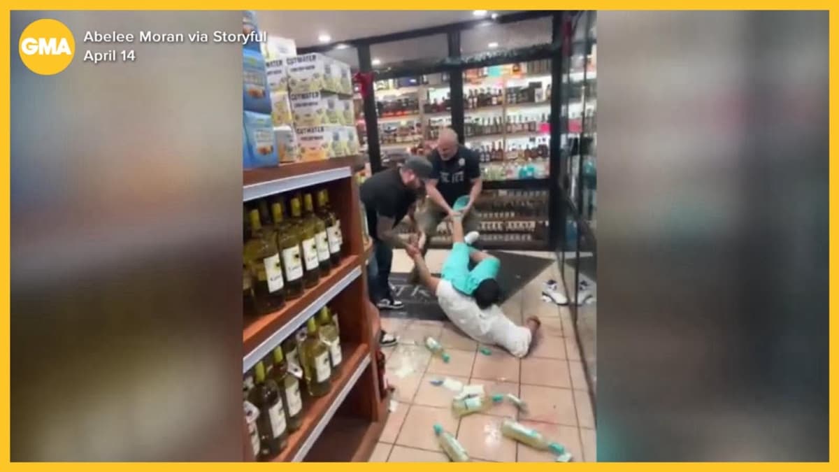 Man Allegedly Beaten by NYPD Officers Sues for $100 Million