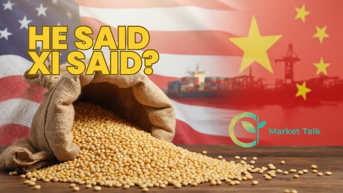 Soybeans Fall HARD as US/China Summit Continues