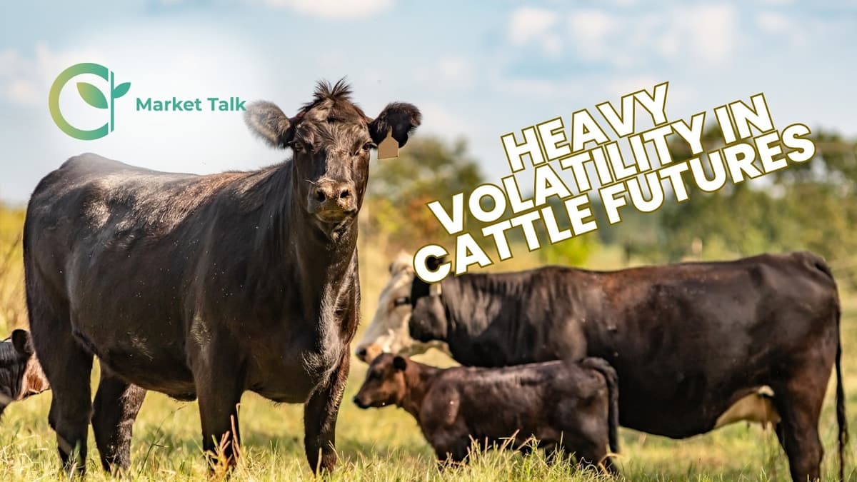 BIG Volatility in Cattle Futures Ahead of Memorial Day