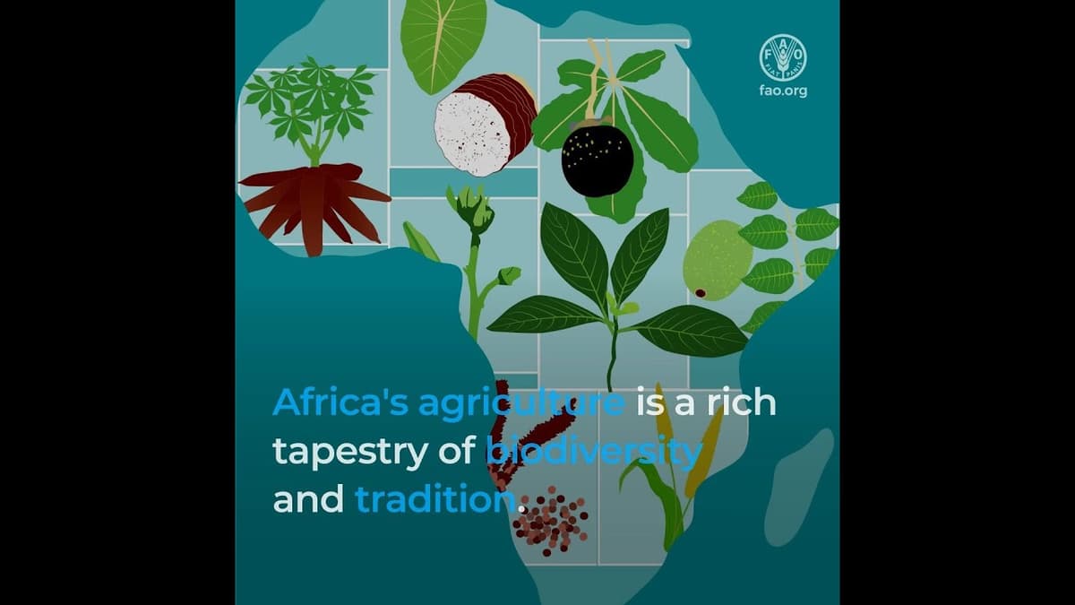 Rediscovering the Hidden Power of Africa's Forgotten Crops