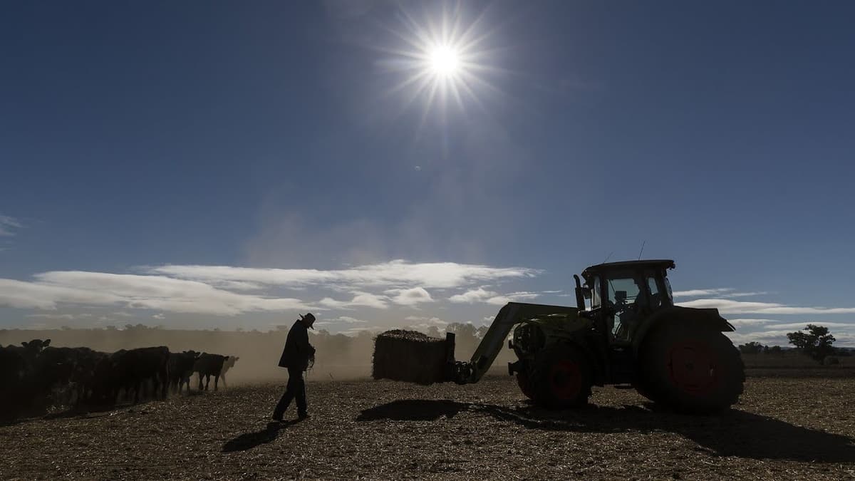 ‘Outrageous’: Farmers Struggling with Regional Diesel Shortages