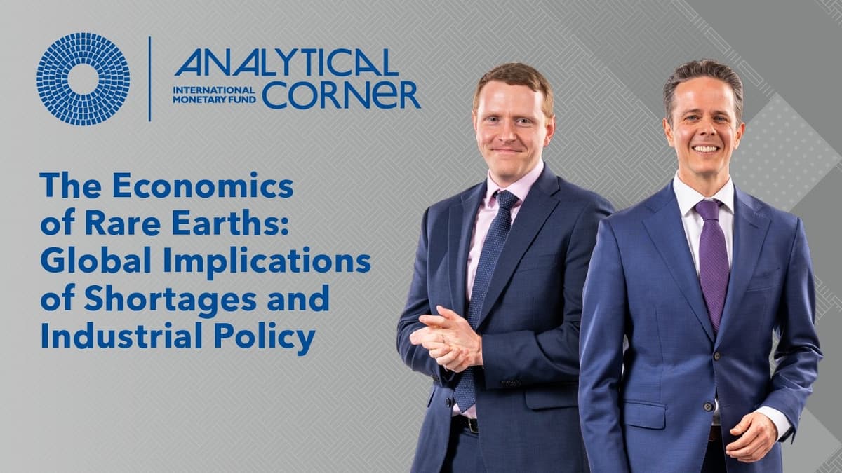 The Economics of Rare Earths: Global Implications of Shortages and Industrial Policy