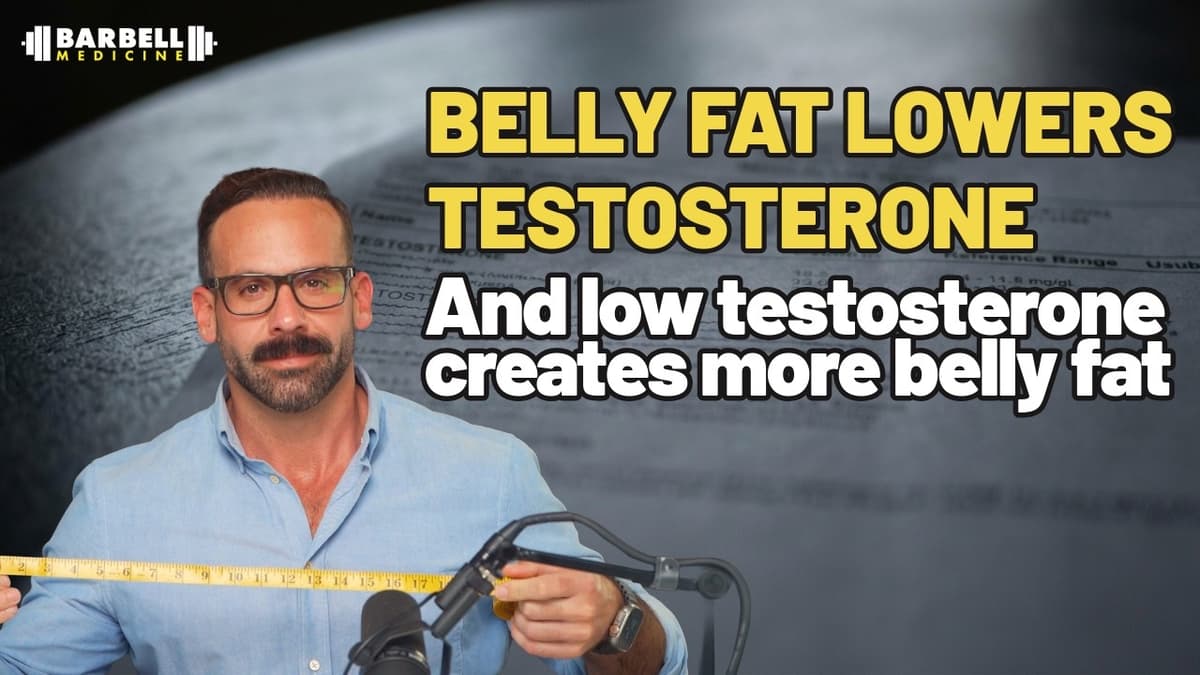 Testosterone, "Belly Fat", And the Aromatase Loop — How They Drive Each Other