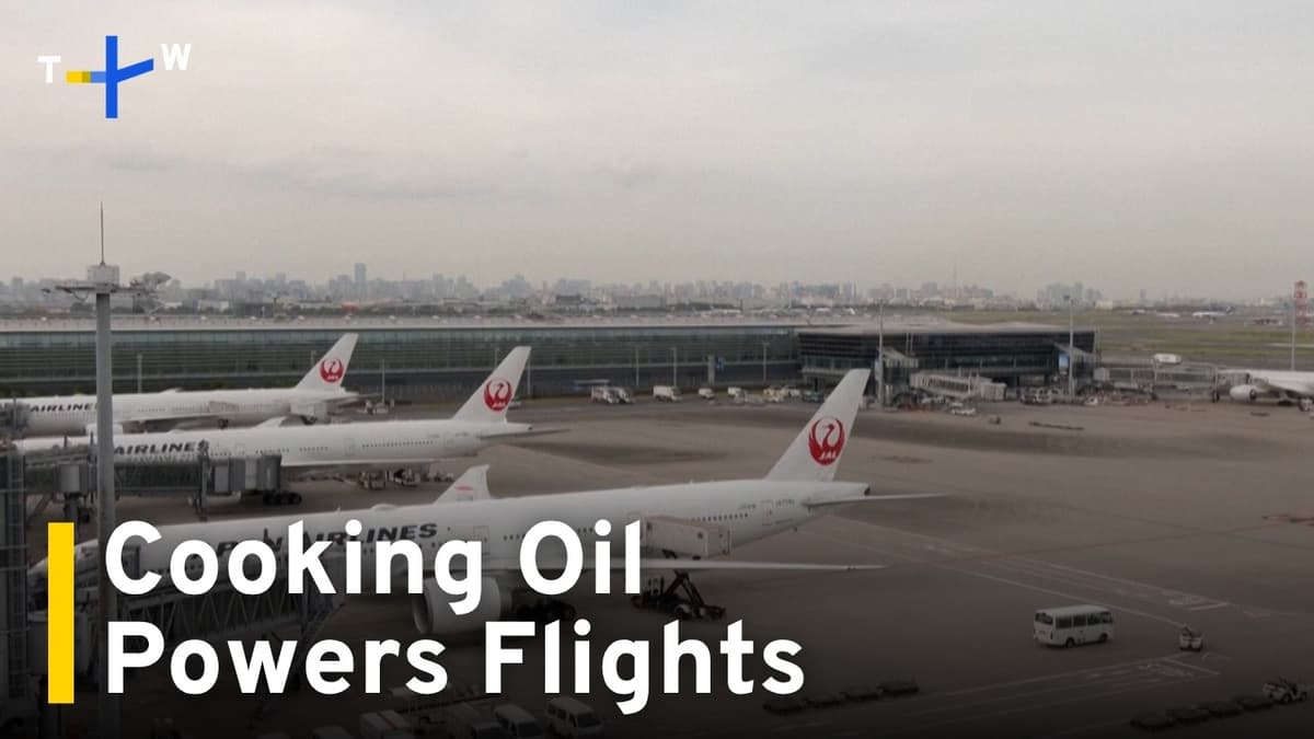 Japan's 'Fry to Fly' Initiative Turns Used Cooking Oil Into Jet Fuel|TaiwanPlus News