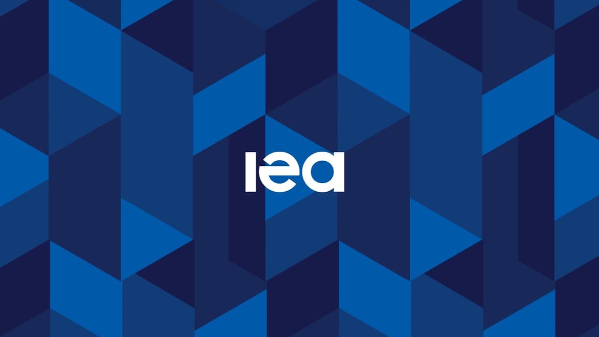 Advancing Energy Access and Clean Cooking Solutions