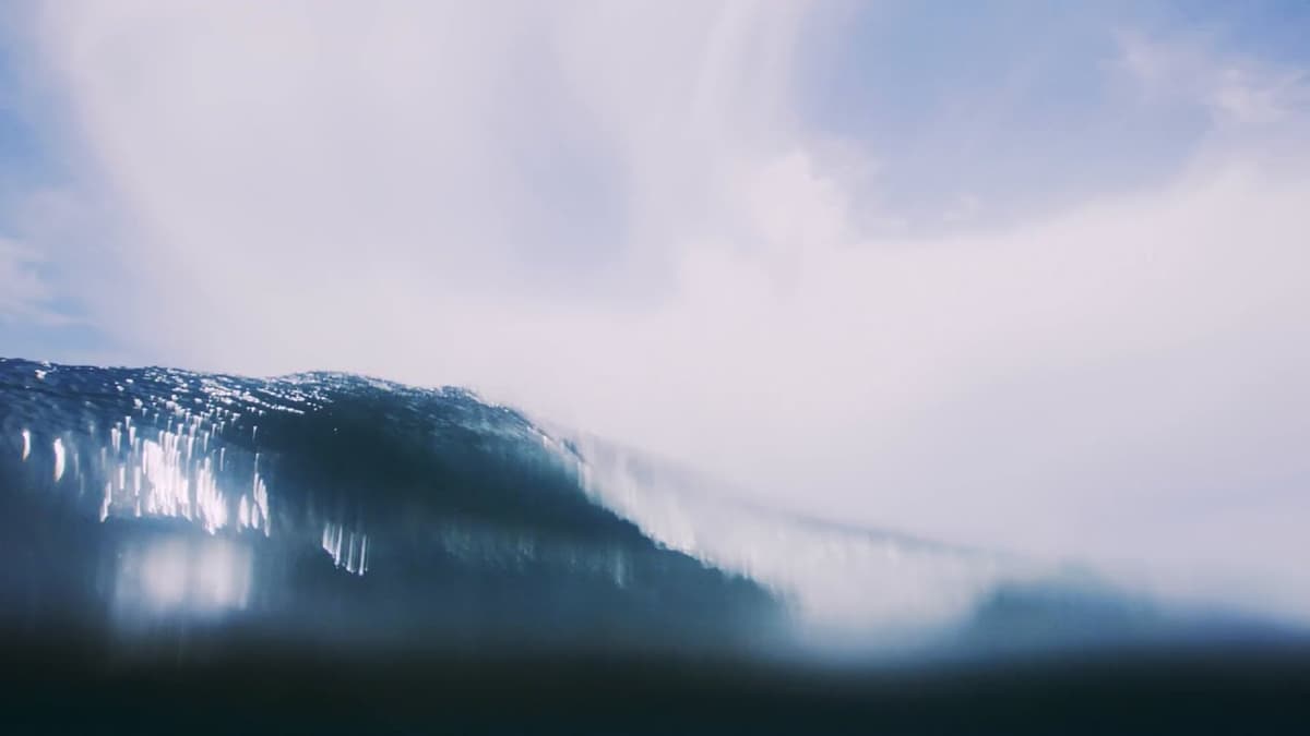 Deloitte Global 2025 C-Suite Sustainability Report