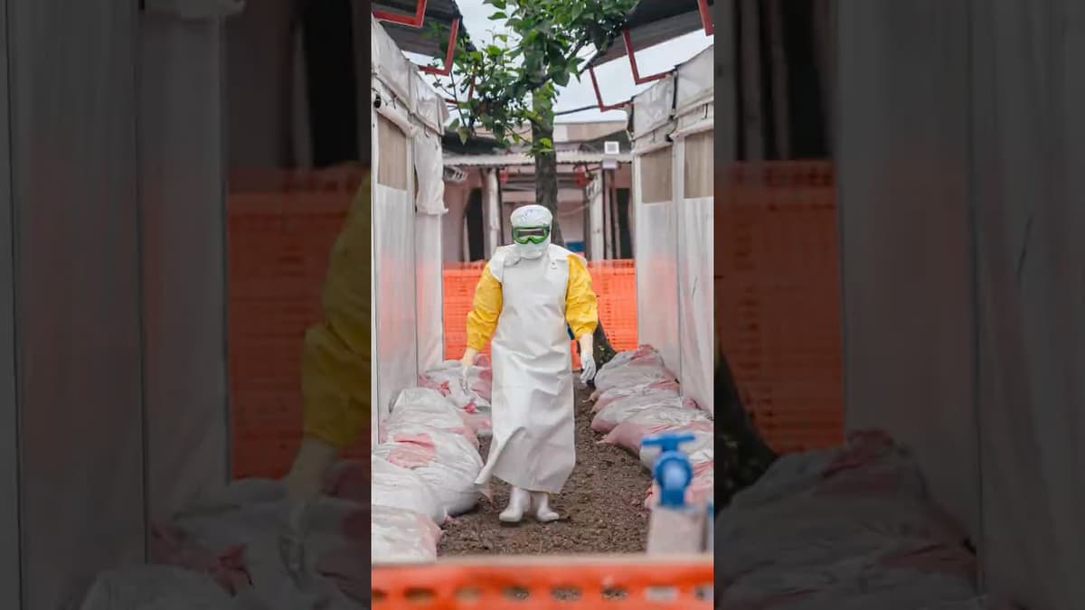 Why This Ebola Outbreak Isn't Like Covid