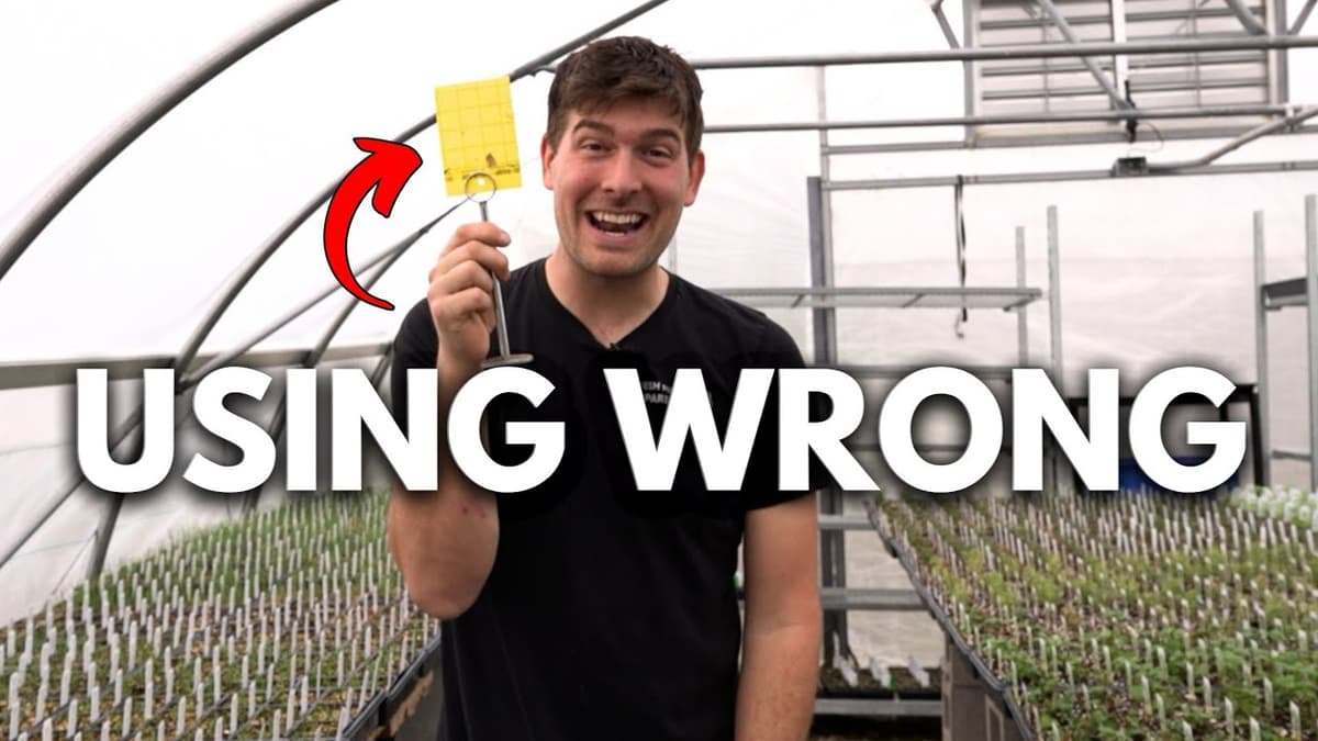 You Are Using These 3 Seed Starting Tools WRONG