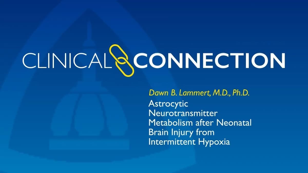 Astrocytic Neurotransmitter Metabolism After Neonatal Brain Injury From Intermittent Hypoxia