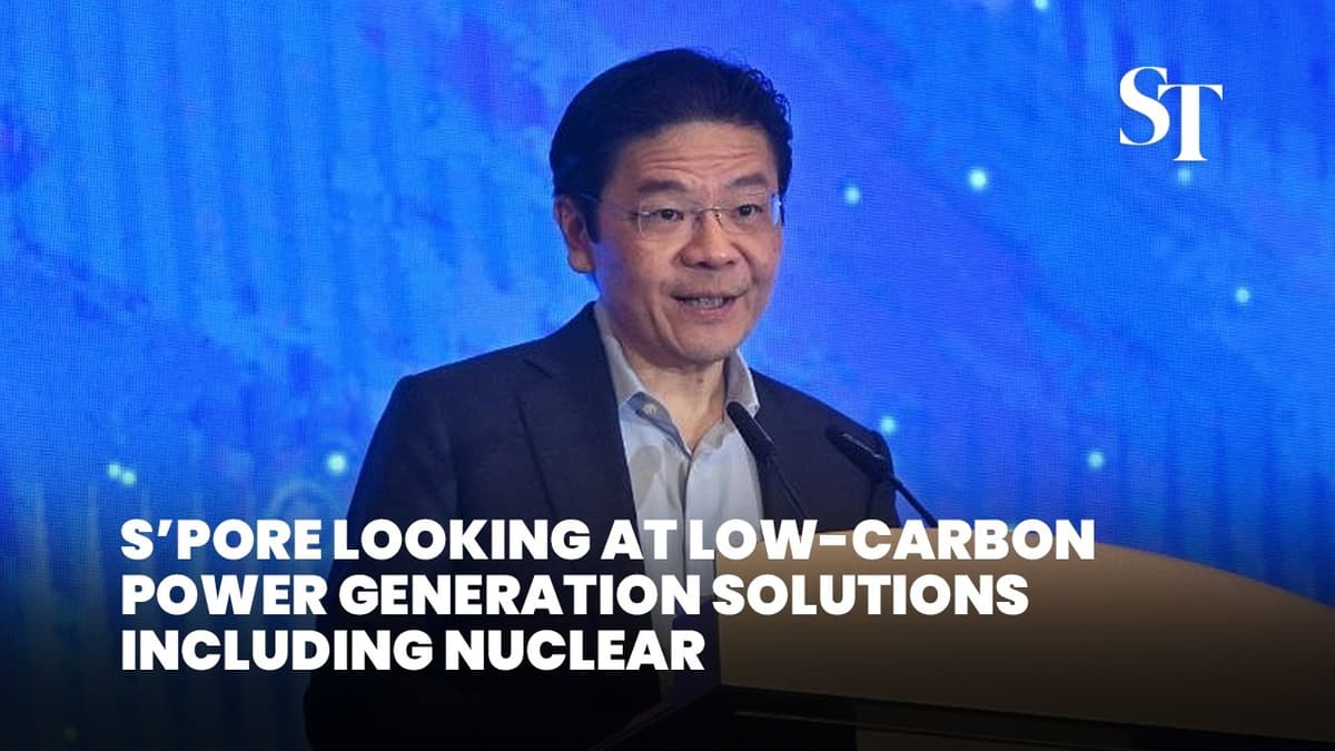 [Full] Singapore to Embark on Review by UN Atomic Watchdog in 2027