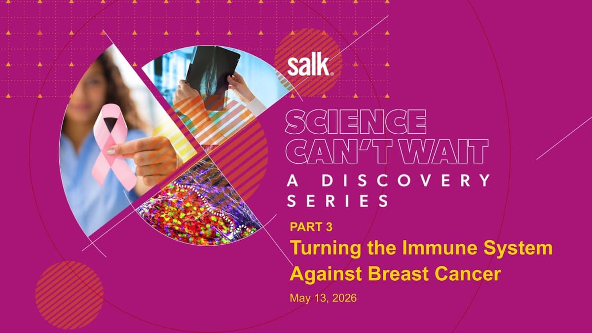 Science Can't Wait: A Discovery Series | Part 3 | Featuring Cancer Researcher Daniel Hollern
