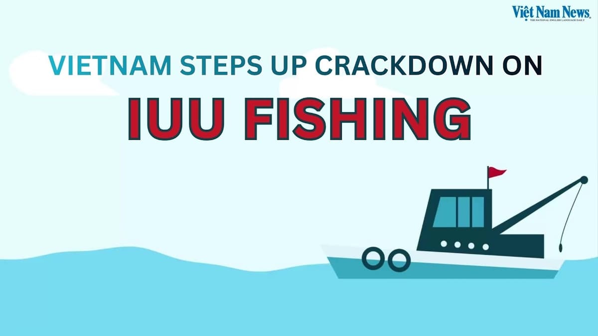 Vietnam Steps up Crackdown on IUU Fishing | Việt Nam Nỗ Lực Gỡ "Thẻ Vàng" IUU