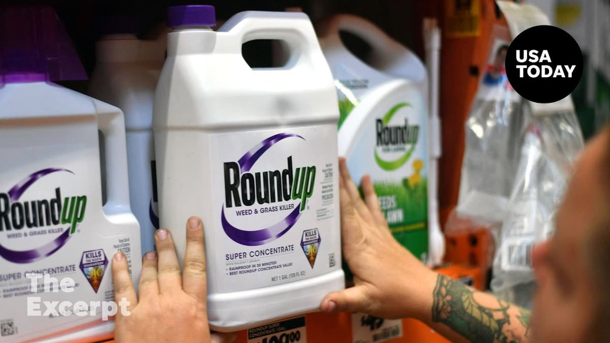 Does Monsanto’s Roundup Weedkiller Need a Cancer Warning? | The Excerpt
