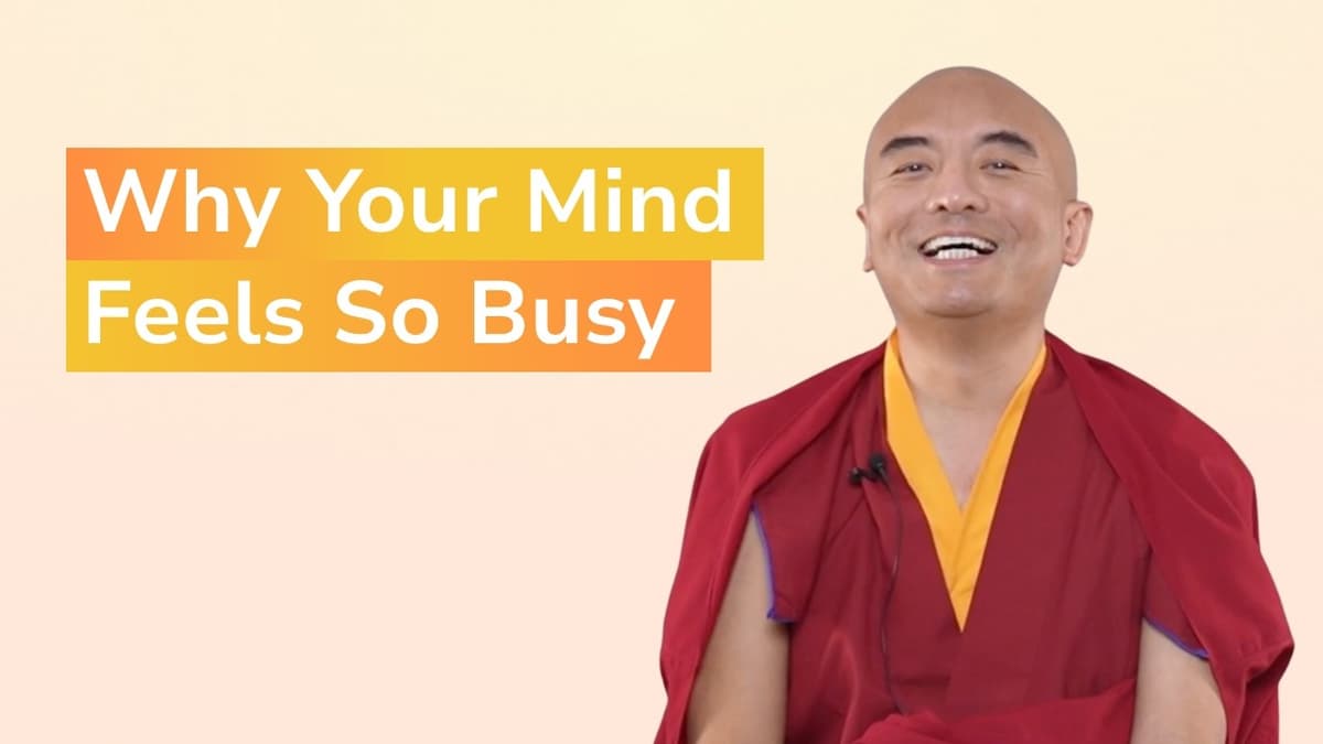 The Waterfall Experience: What Really Happens When You Start Meditating with Yongey Mingyur Rinpoche