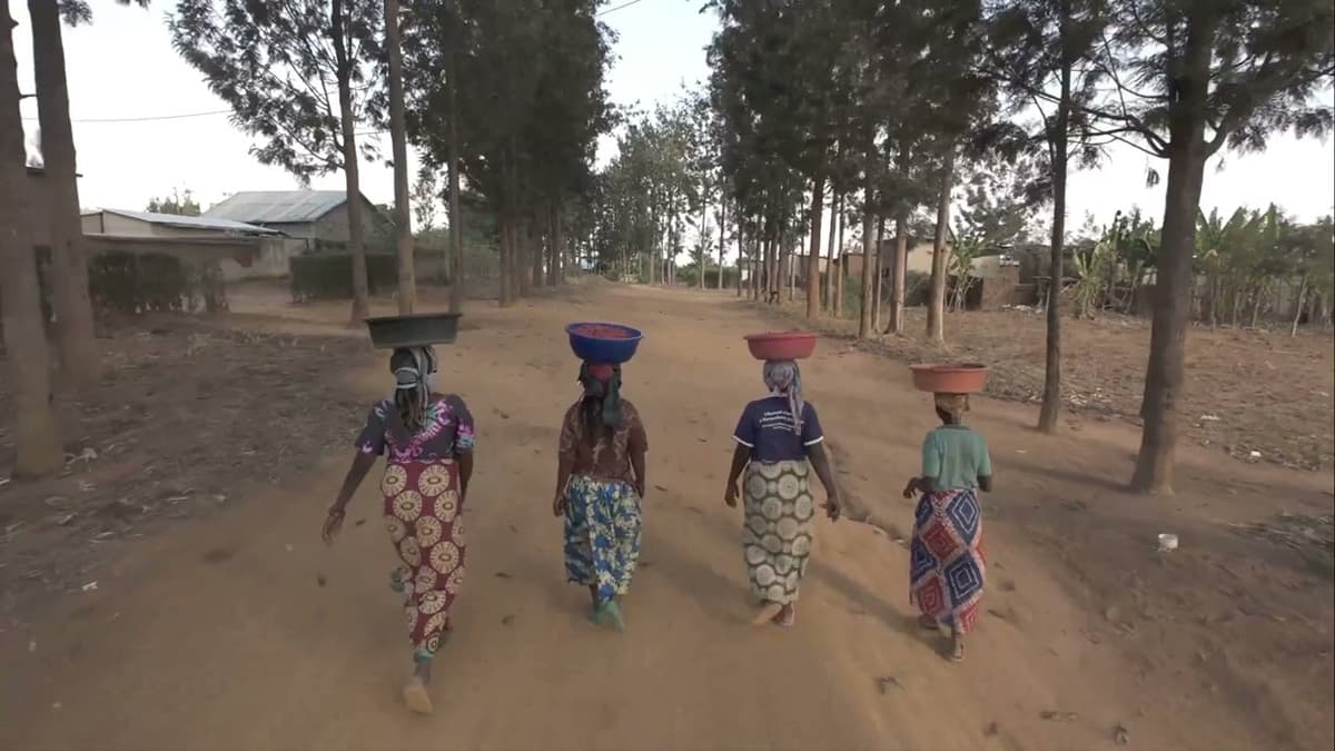 Strategic Energy Access Planning Support (SEAPS)