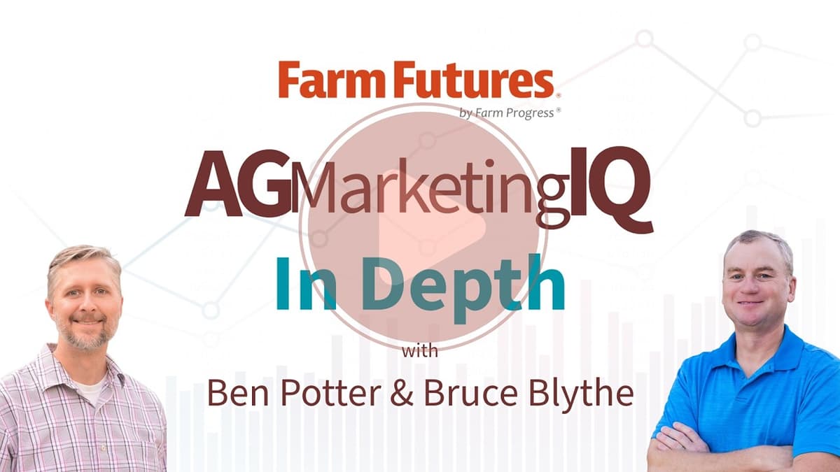 How to Capitalize on Grain Marketing Opportunities After USDA's March 31 Reports