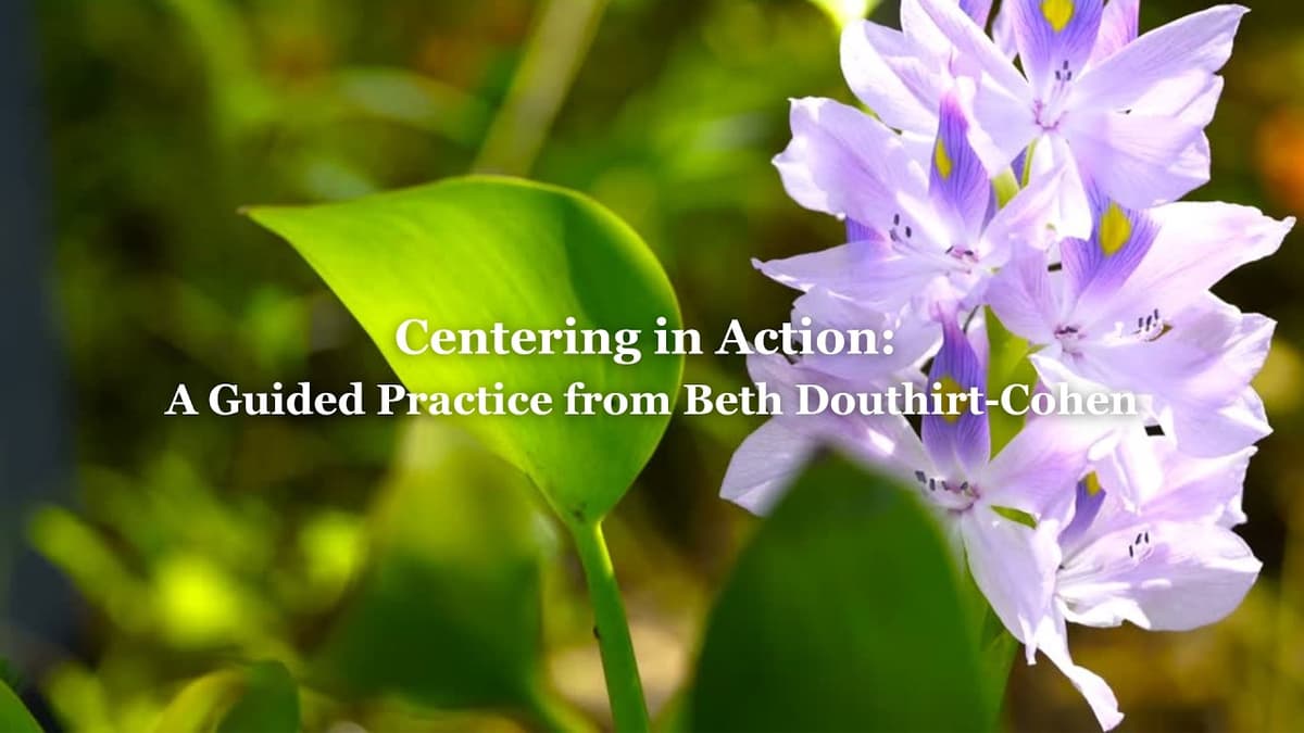 Centering in Action: A Guided Practice From Beth Douthirt-Cohen