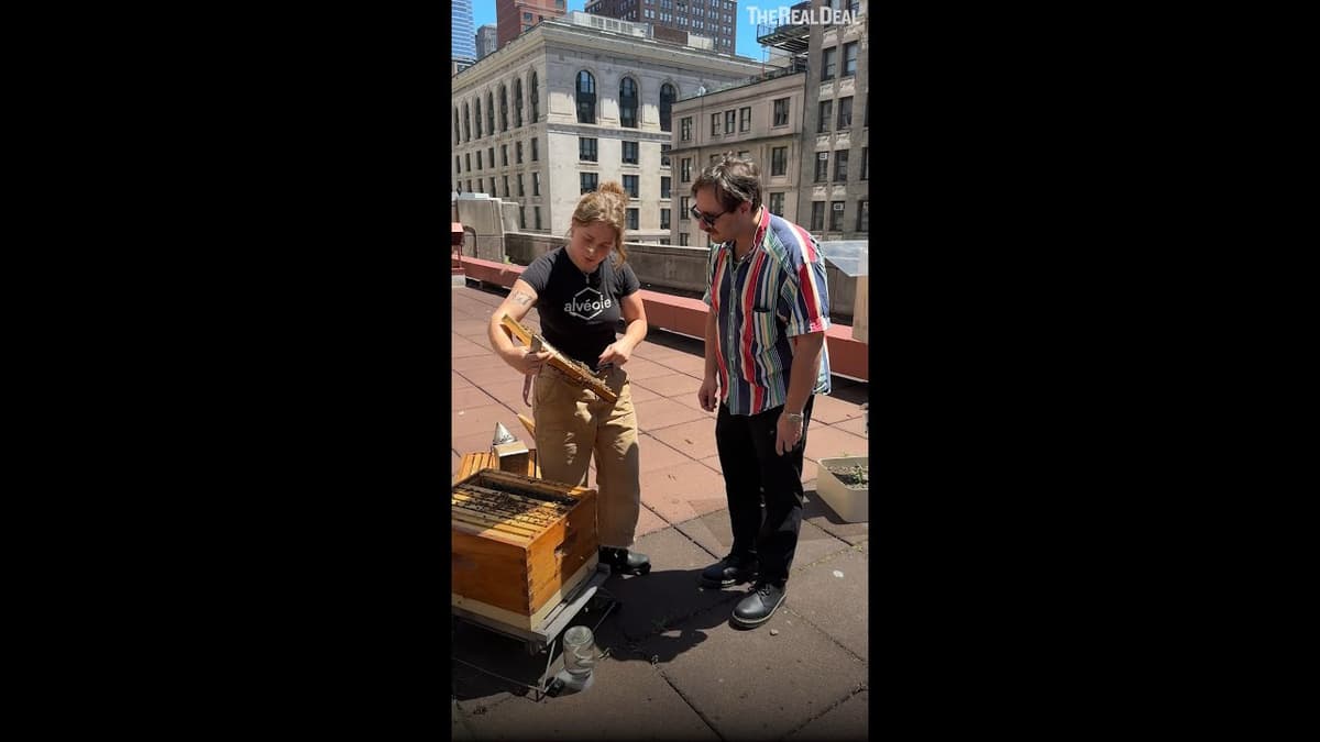 đ Meet the Empire State Building's Buzzy Tenants