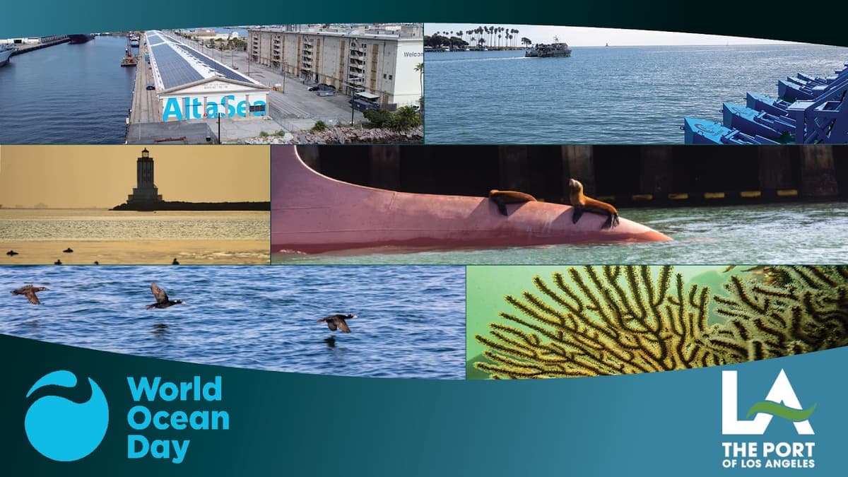 AltaSea and the Port of Los Angeles Celebrate World Ocean Day 2026