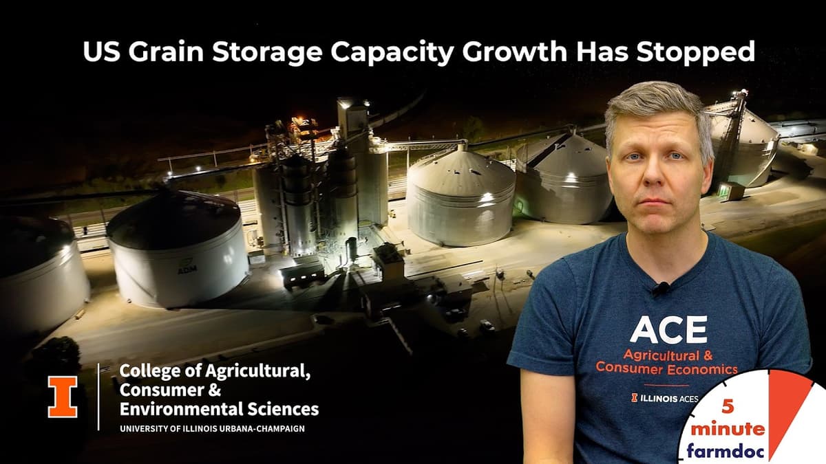 US Grain Storage Capacity Growth Has Stopped